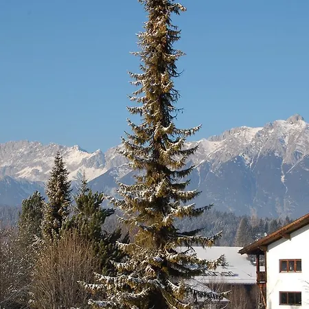 Haus Orplid 招待所 蒂罗尔-泽费尔德